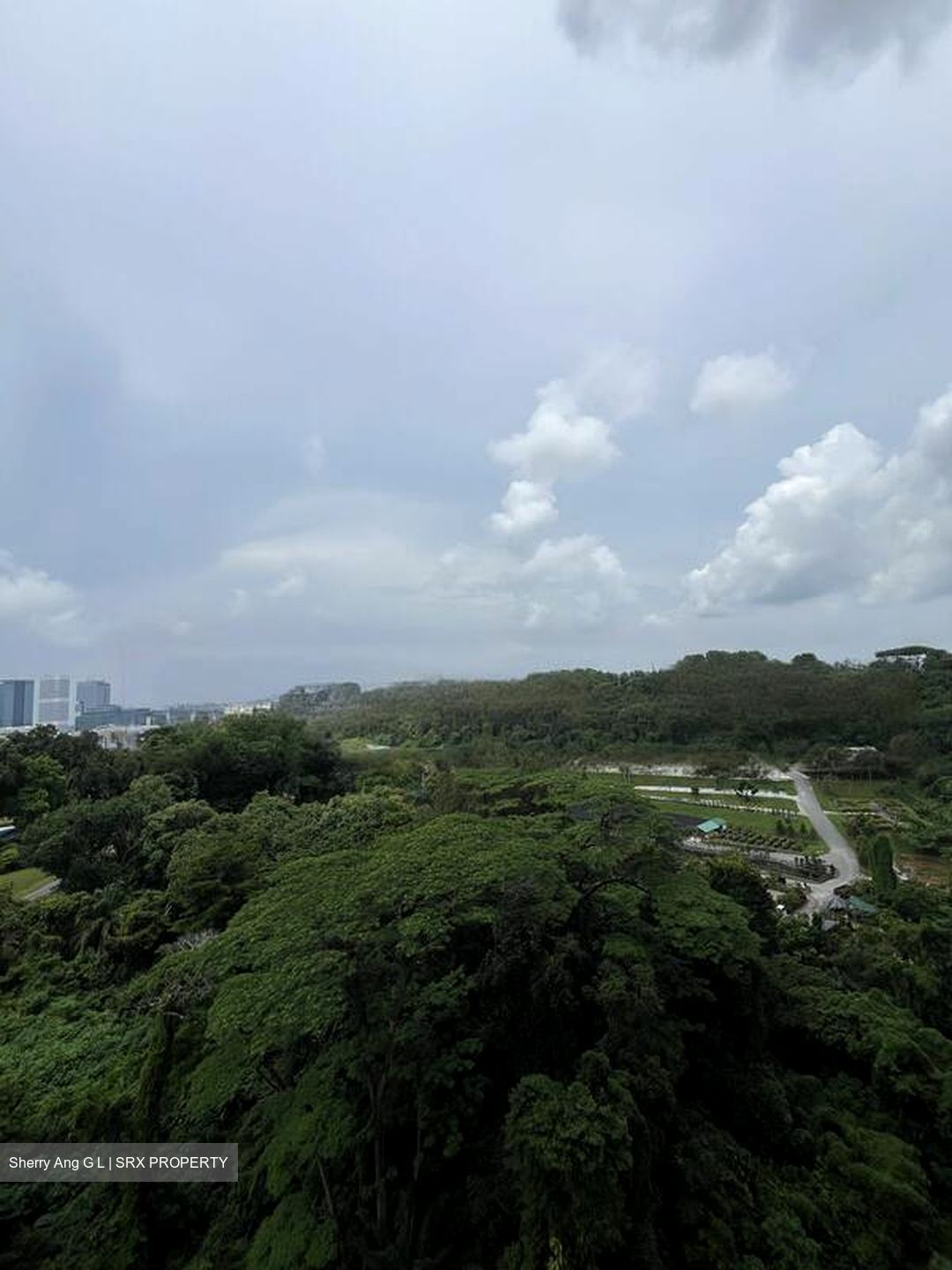 Normanton Park (D5), Apartment #458470721
